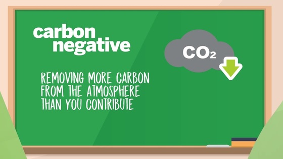 Greenhouse and Carbon Reduction 