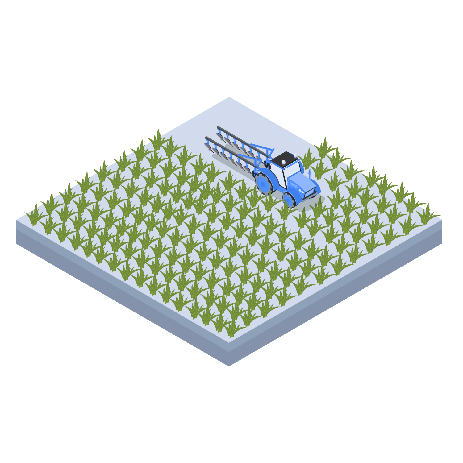 grassland