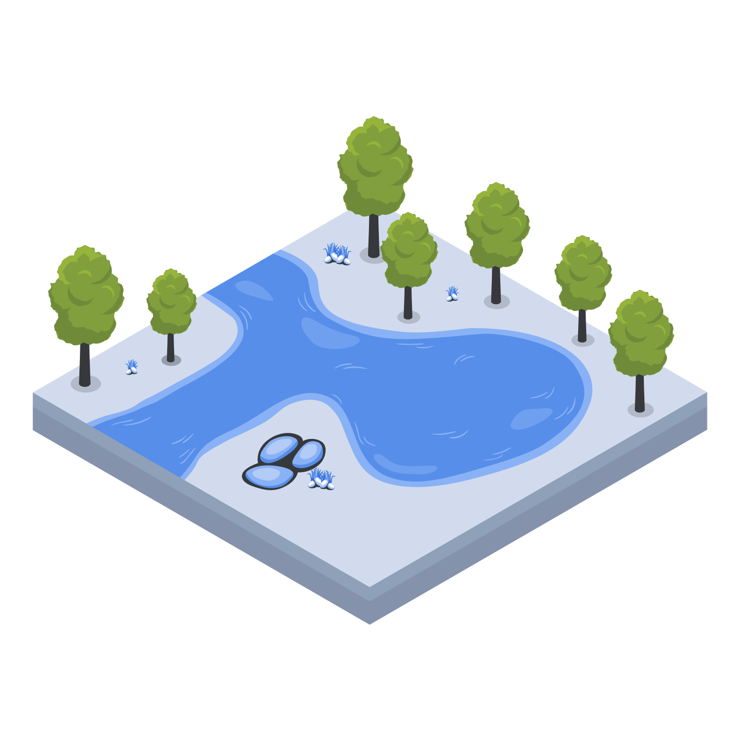 wetlands